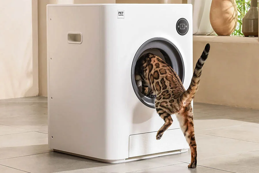 biggest litter box